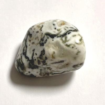 AGATE ARBRE PIERRE 4