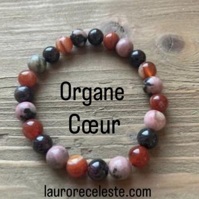 ORGANE COEUR BRACELET