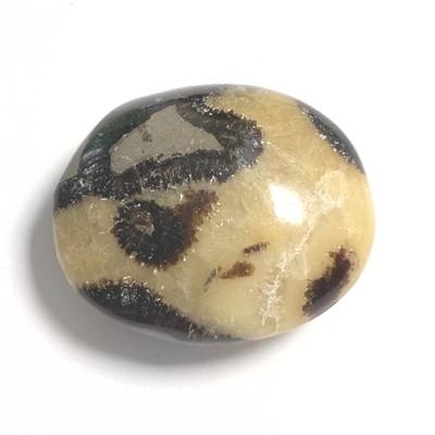 SEPTARIA GALET 2