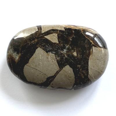 SEPTARIA GALET 7