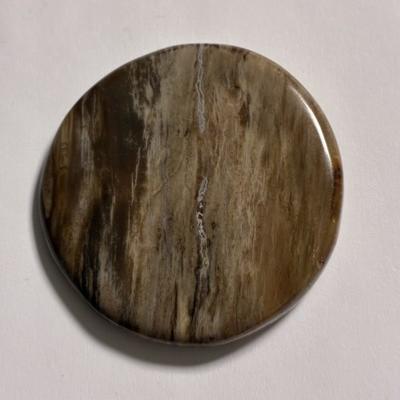 BOIS FOSSILE PETRIFIE PIERRE PLATE 1