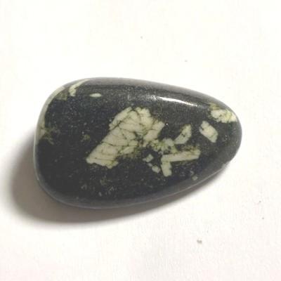 CHRYSANTHEME PIERRE 4