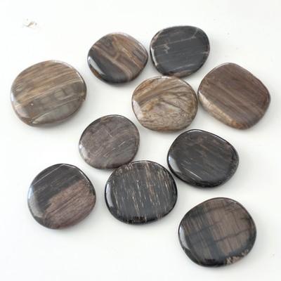 BOIS FOSSILE PETRIFIE LOT 10 PIERRES PLATES