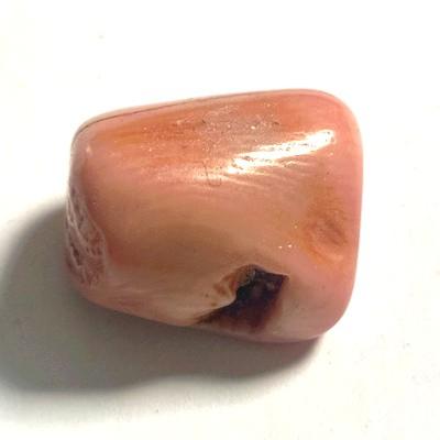 CORAIL ROSE PIERRE 6