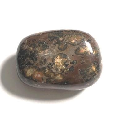 JASPE LEOPARD PIERRE 6