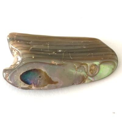 NACRE COQUILLAGE PIERRE 5