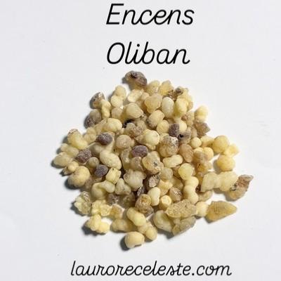 ENCENS RESINE OLIBAN