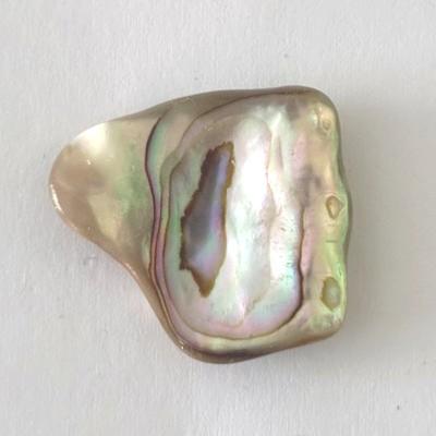 NACRE COQUILLAGE PIERRE 11