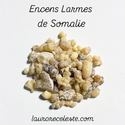 LARMES DE SOMALIE ENCENS RESINE