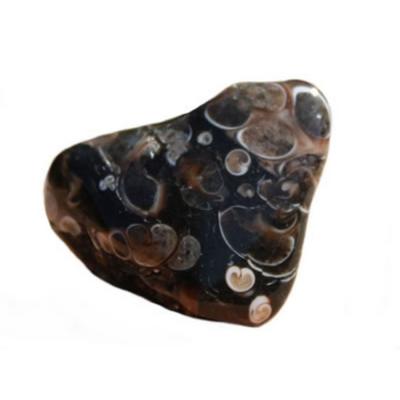 AGATE FOSSILE PIERRE