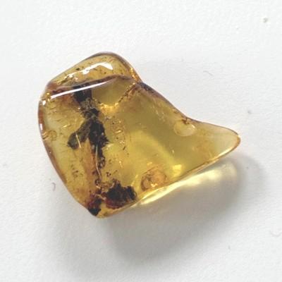 AMBRE PIERRE 6