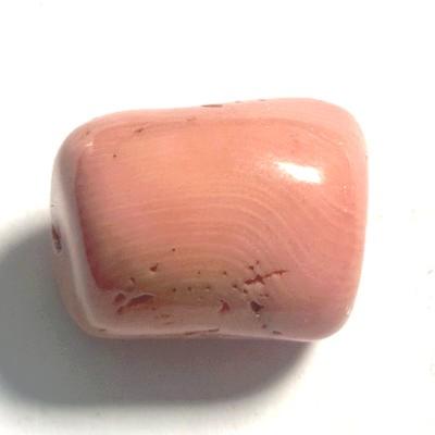 CORAIL ROSE PIERRE 4