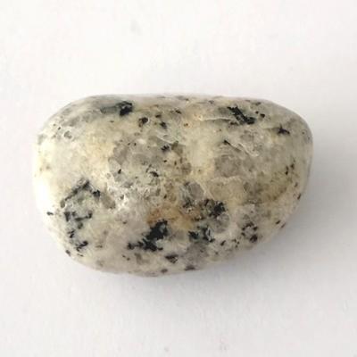 JASPE DALMATIEN PIERRE 3