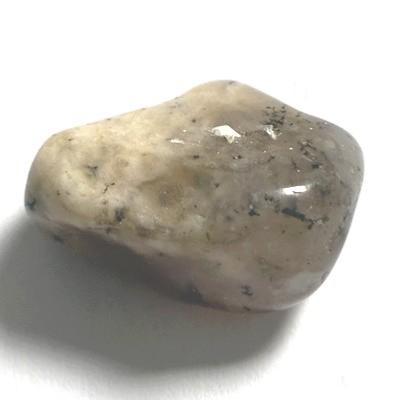 MERLINITE AGATE DENDRITE PIERRE 7
