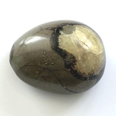 SEPTARIA GALET 9