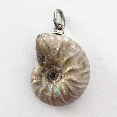 AMMONITE FOSSILE PENDENTIF 1