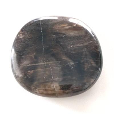 BOIS FOSSILE PETRIFIE PIERRE PLATE 4