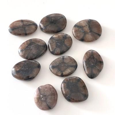 CHIASTOLITE LOT 10 PIERRES PLATES