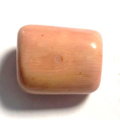 CORAIL ROSE PIERRE 2