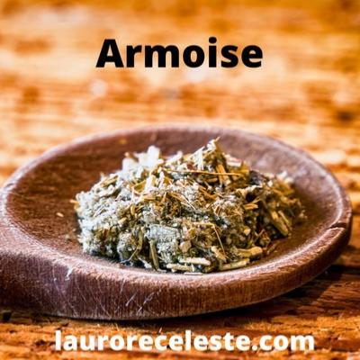 Armoise : Encens Plante Magie Sant Force Purification Divination Protection - L' Aurore Cleste