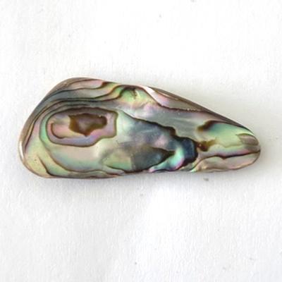 NACRE COQUILLAGE PIERRE 12