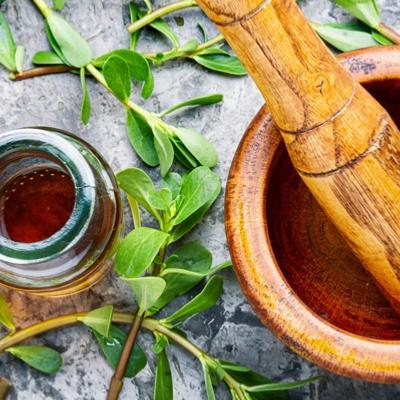 Qualit et Composition des Plantes mdicinales et Huiles essentielles : quels critres de choix ?