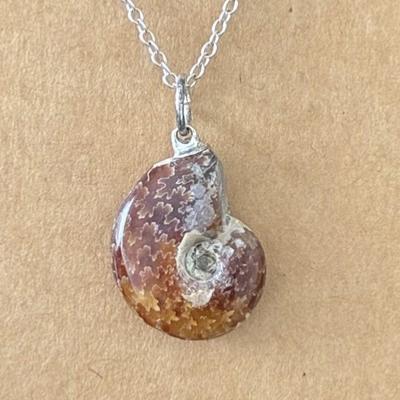 AMMONITE FOSSILE PENDENTIF 7