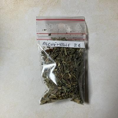 ALCHEMILLE ENCENS
