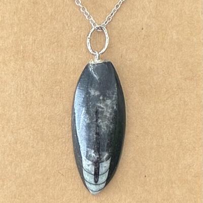 ORTHOCERAS PENDENTIF 1