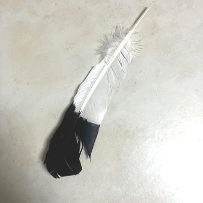 PLUME FUMIGATION