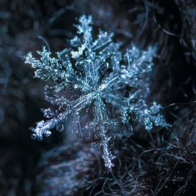 Quelle Pierre pour l' Hiver ? Dpasser l motion de la peur, soutenir les reins, lment Eau