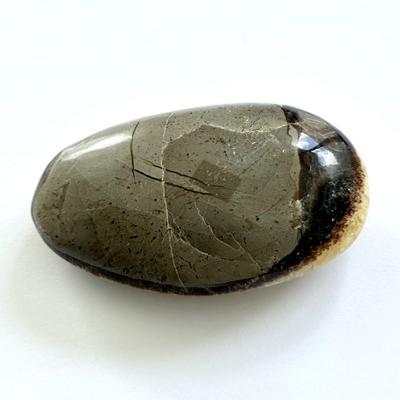 SEPTARIA GALET 8